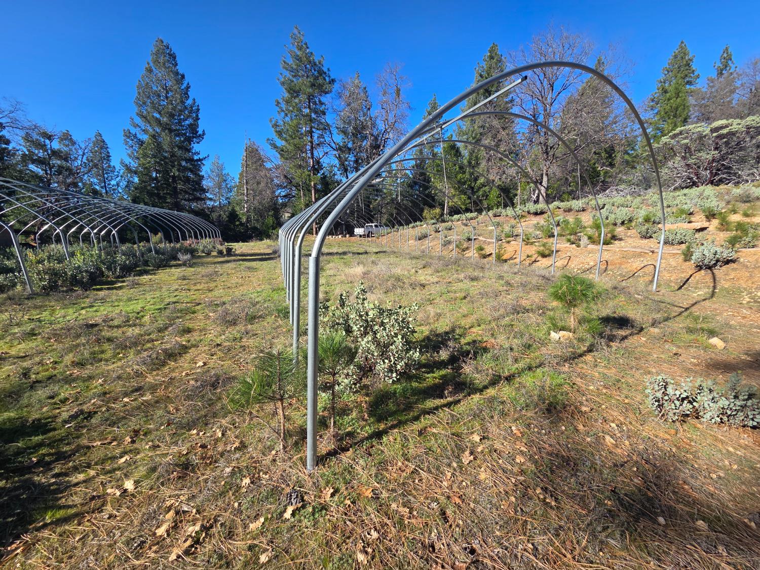 0 Canterbury Road Pioneer, CA 95666 - Photo 4 of 15 a view of a yard in front of a house