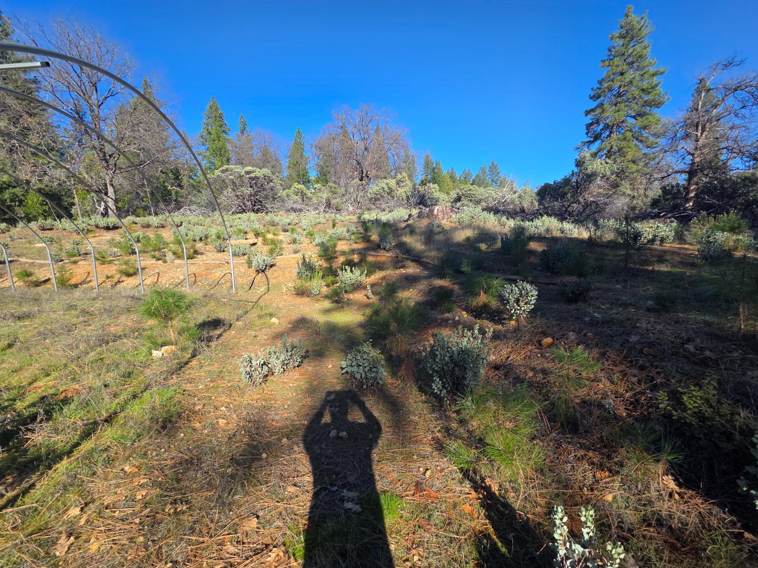 0 Canterbury Road Pioneer, CA 95666 - Photo 5 of 15 a view of a yard with a house