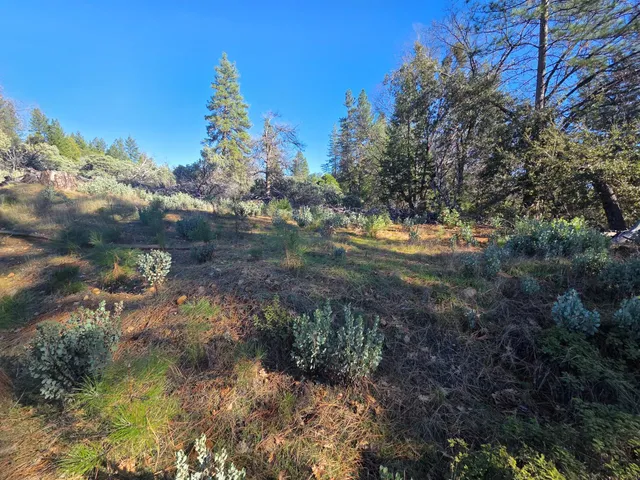 a backyard of a house with a yard and outdoor seating