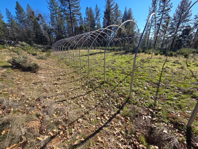 a view of a lake with a house in the background