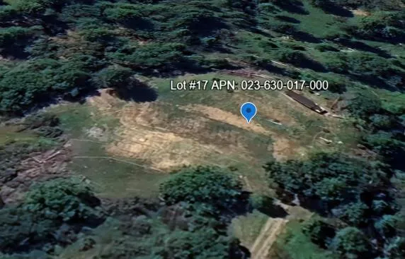 a view of outdoor space and tree