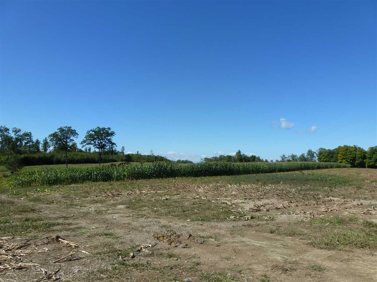435 Homestead Road Alstead, NH 03602 - Photo 13 of 15
