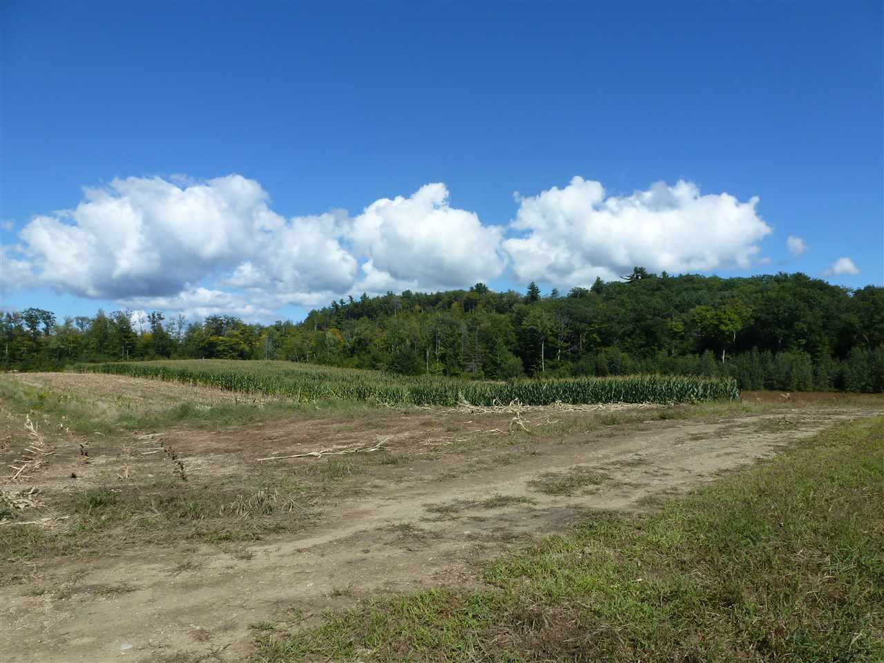 435 Homestead Road Alstead, NH 03602 - Photo 14 of 15