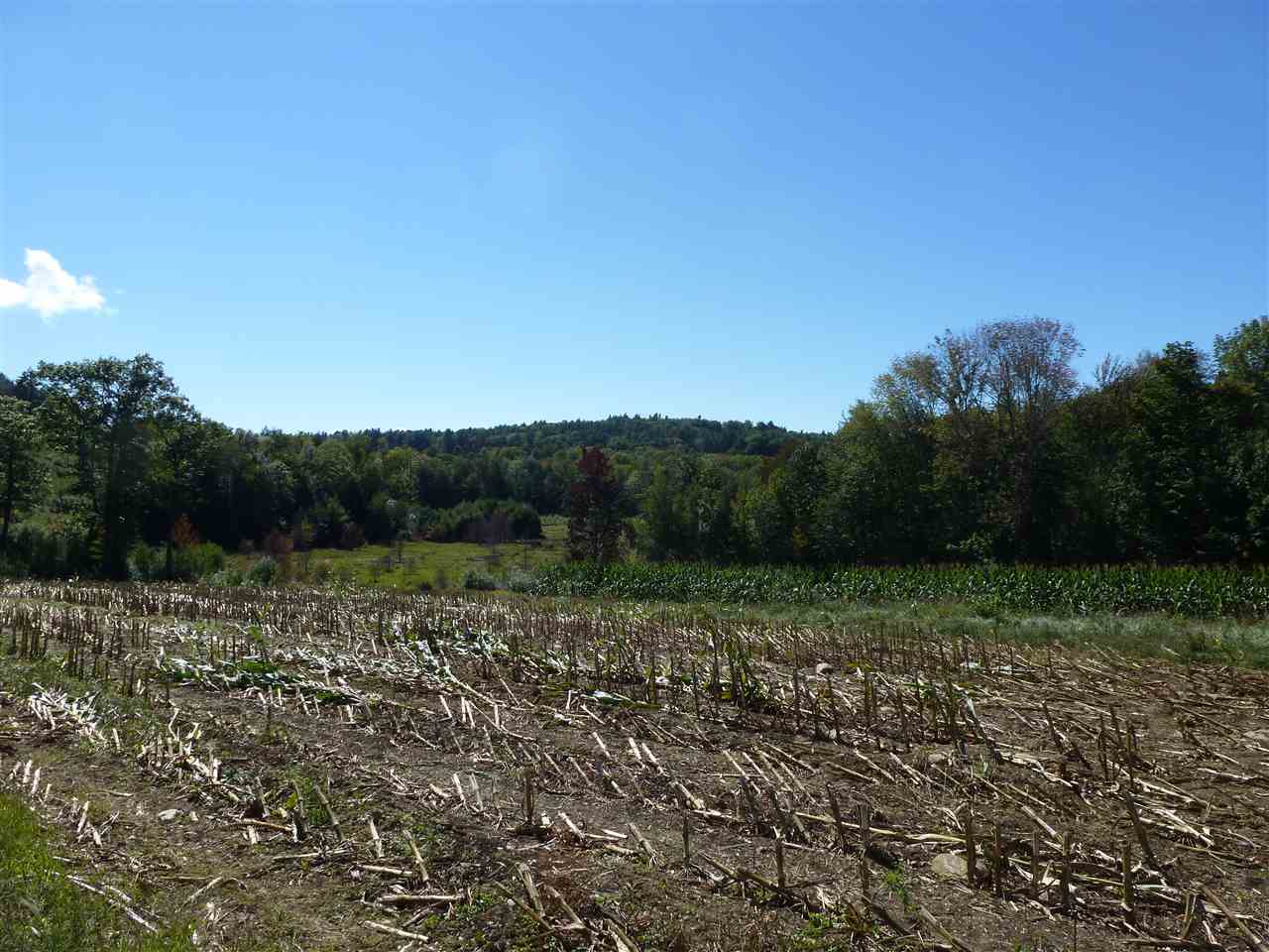 435 Homestead Road Alstead, NH 03602 - Photo 15 of 15