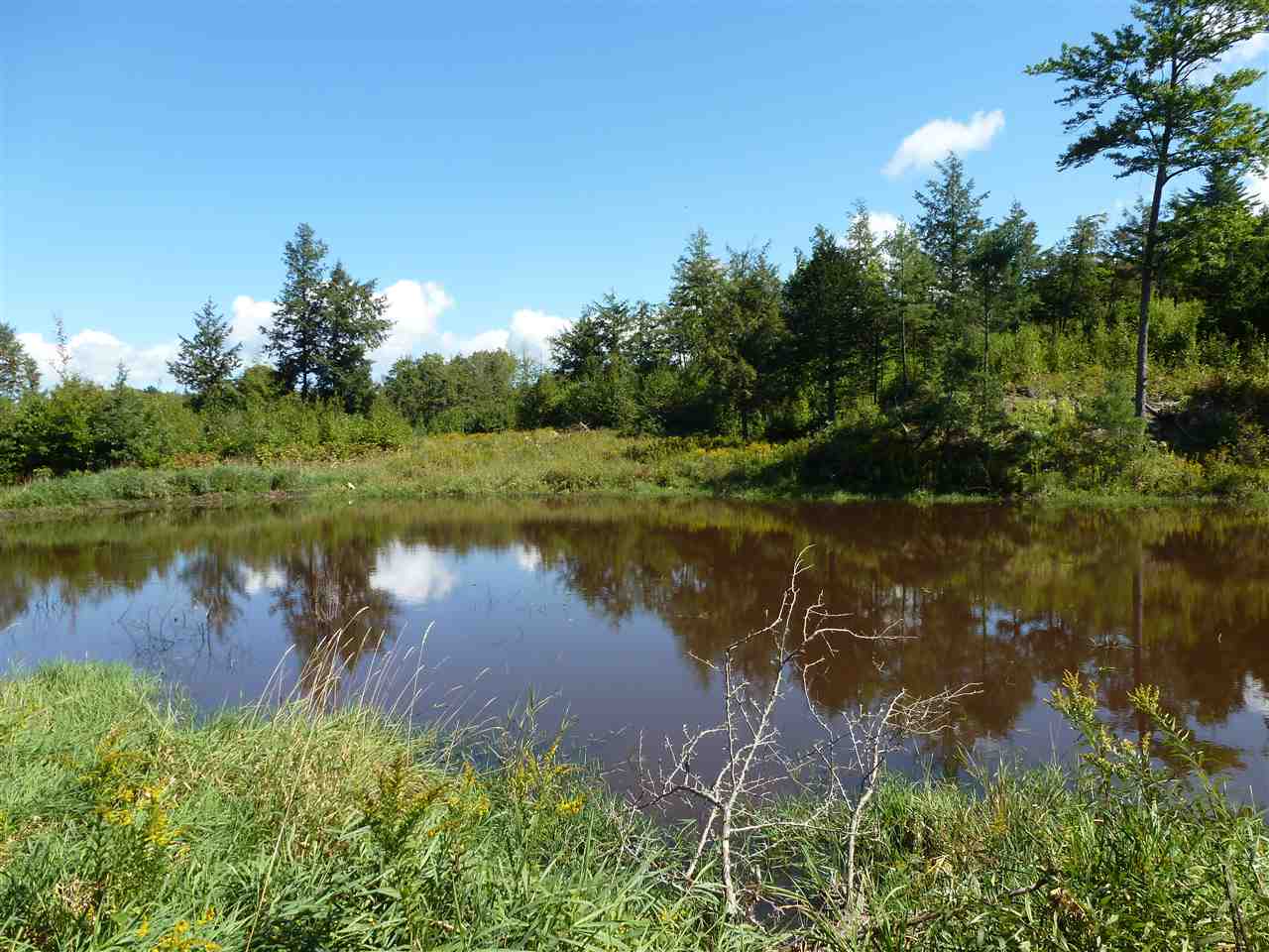 435 Homestead Road Alstead, NH 03602 - Photo 10 of 15