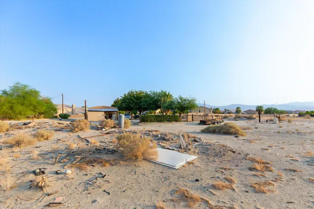 a view of a beach with a large tree
