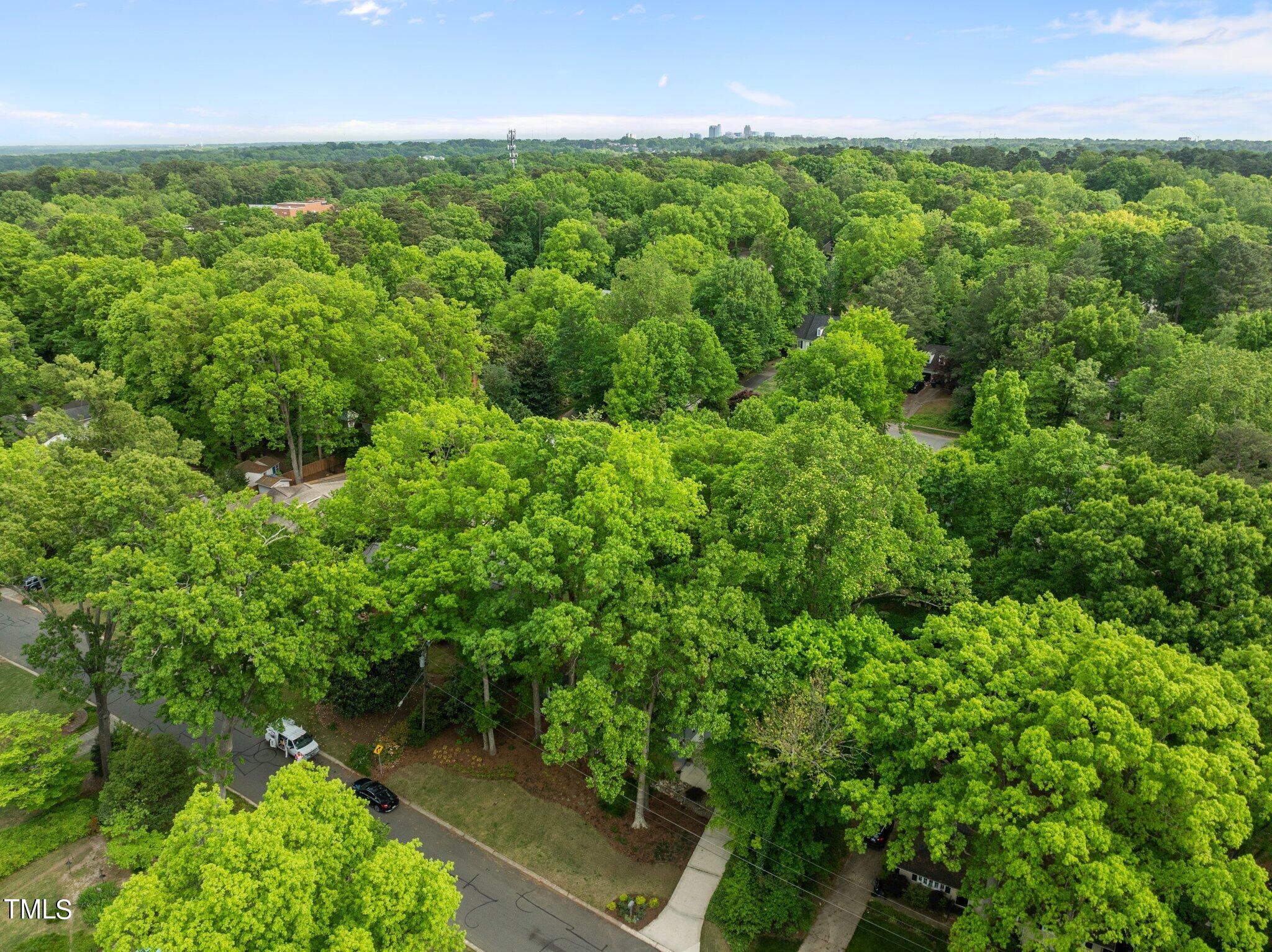 1817 Manuel Street Raleigh, NC 27612 - Photo 50 of 50 45-web-or-mls-DJI_0411