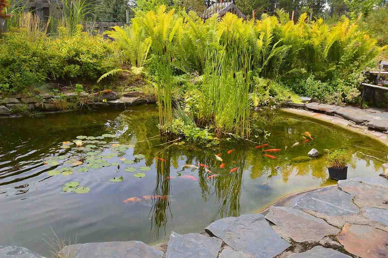 791 Spring Valley Road Newport, WA 99156 - Photo 19 of 20 Gallery Image 19
