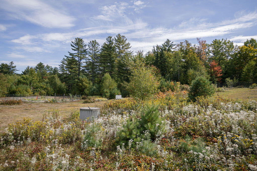 182 Airport Road Phillips, ME 04966 - Photo 29 of 49 taylor-kaminsky-photo-9