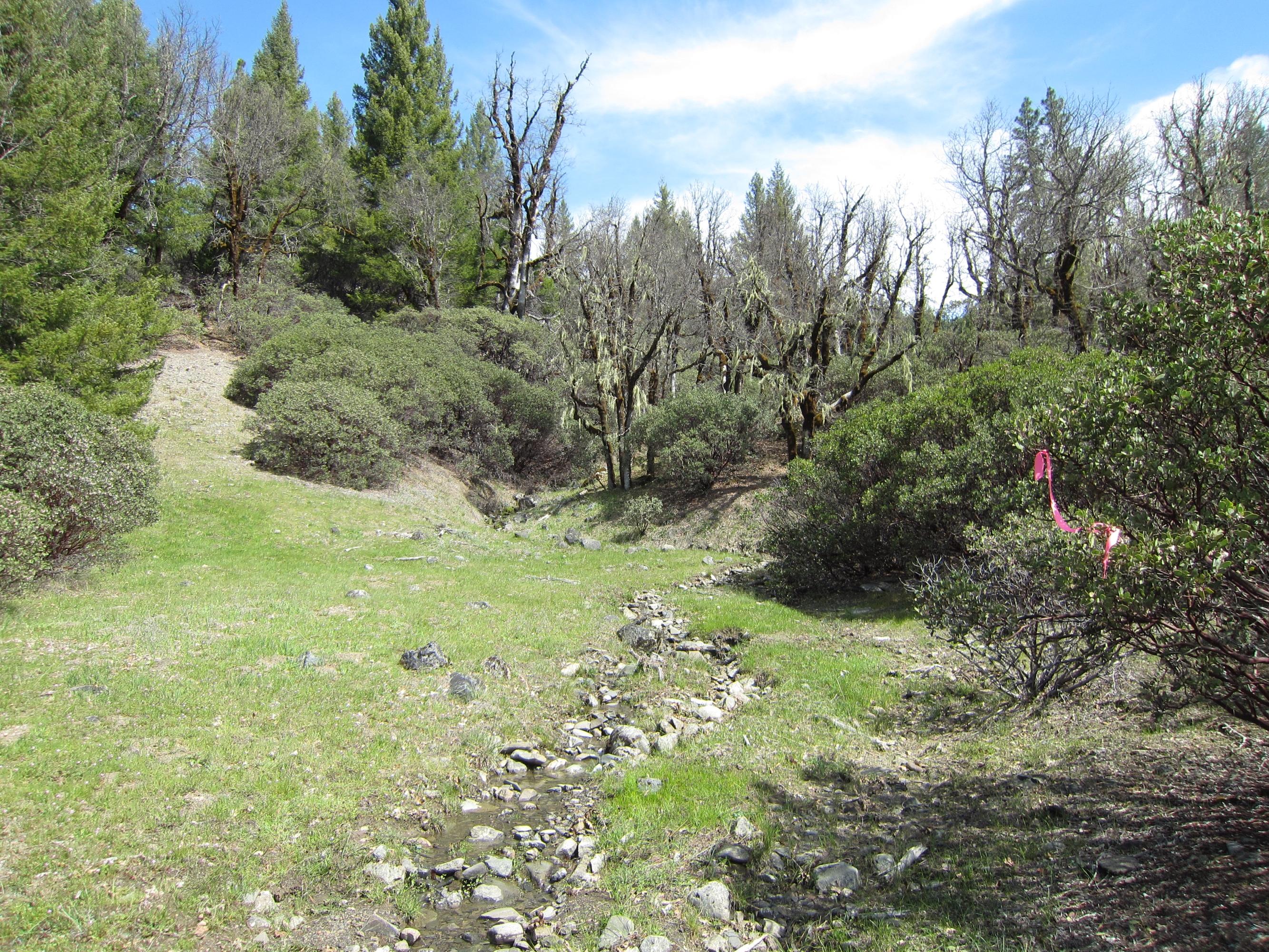 191 Van Duzen Road Mad River, CA 95526 - Photo 7 of 7