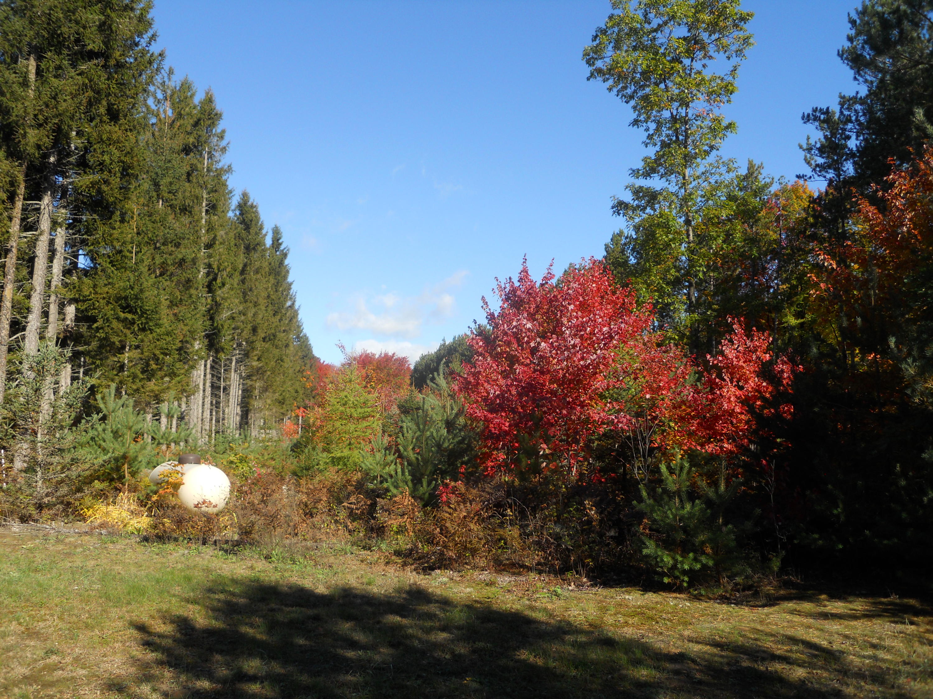 25448 South Fairview Road Pickford, MI 49774 - Photo 32 of 32 Gallery Image 32