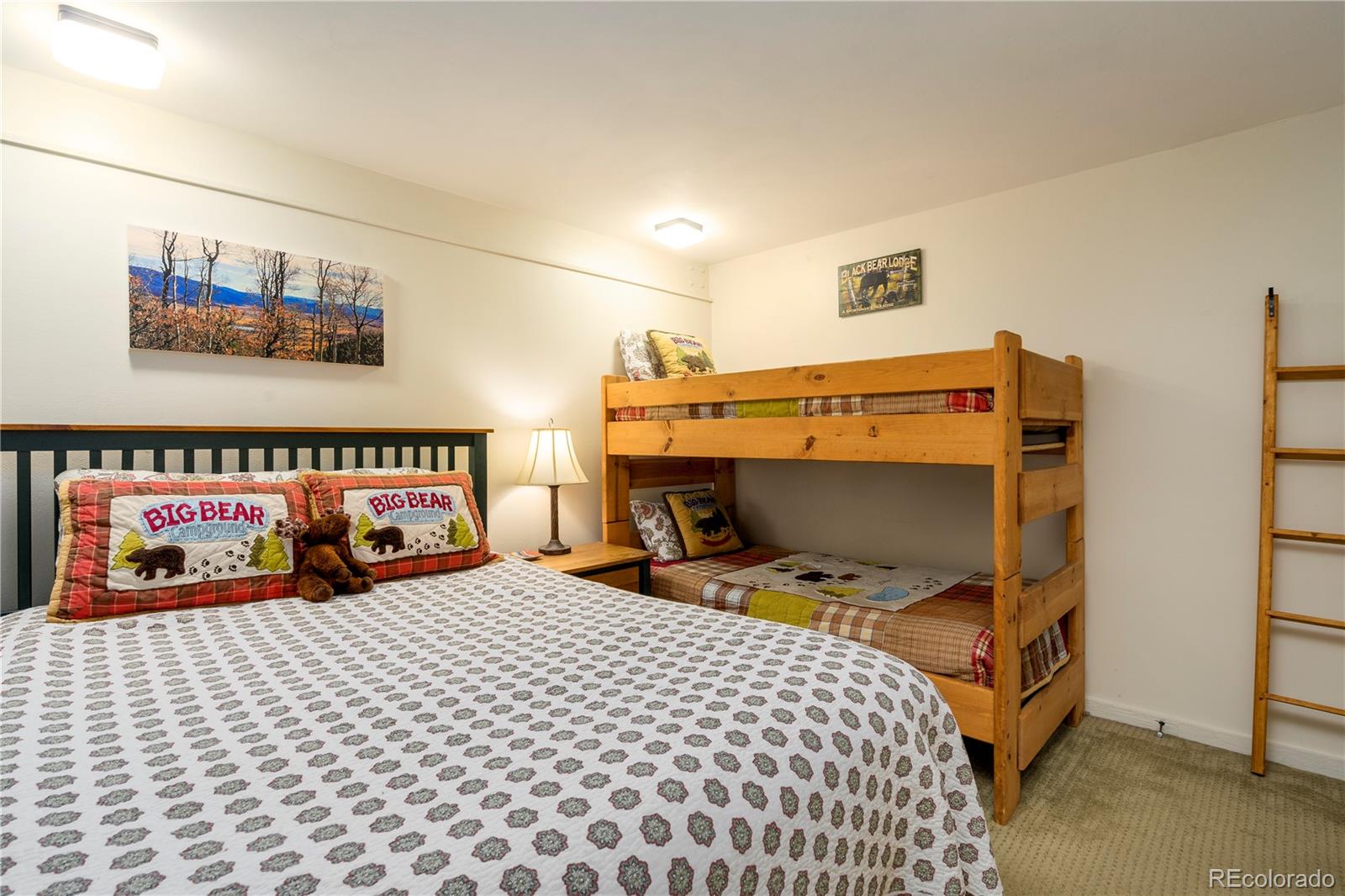2602 Longthong Road, Unit 105 Steamboat Springs, CO 80487 - Photo 13 of 25 Gallery Image 13