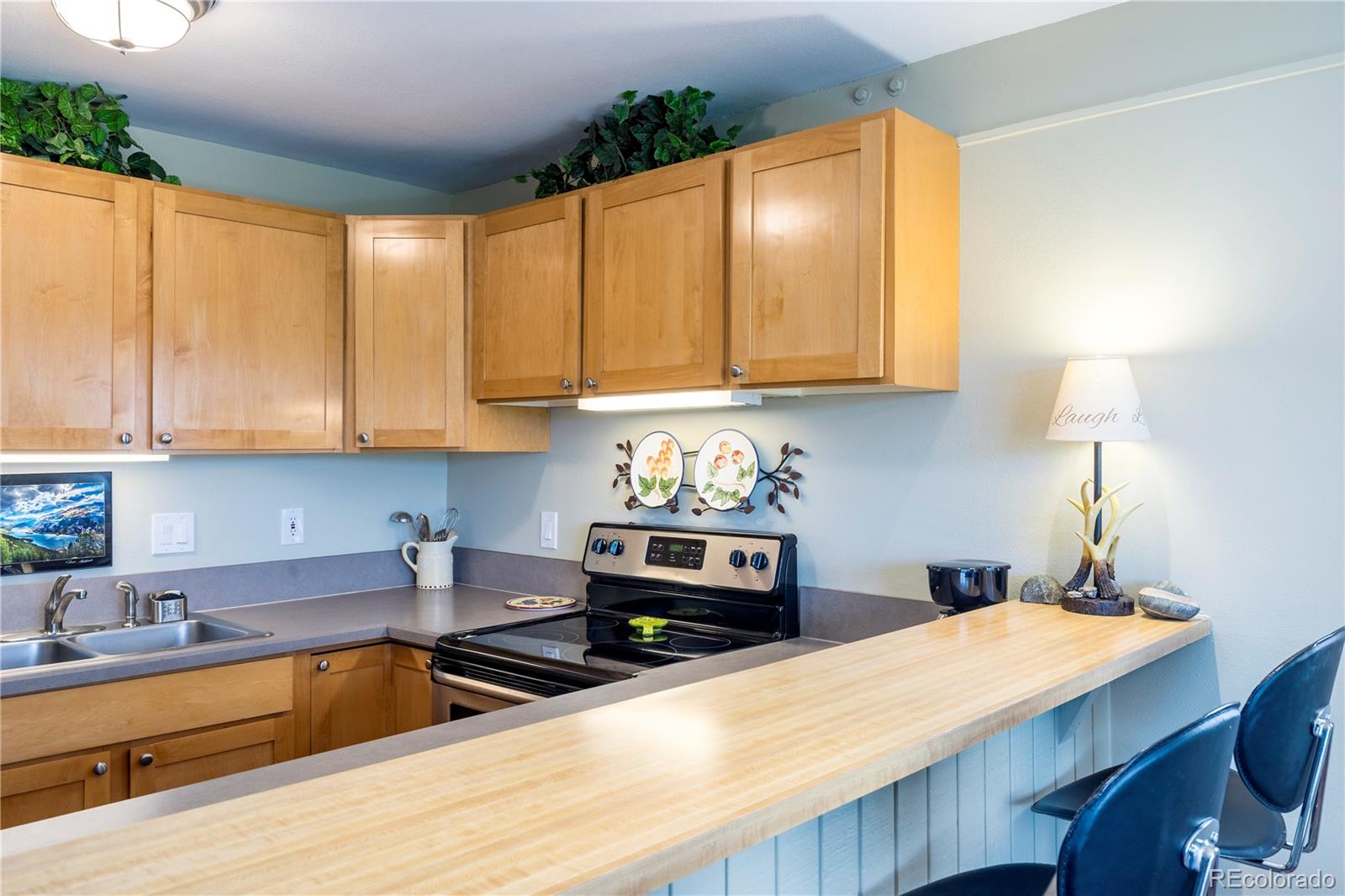 2602 Longthong Road, Unit 105 Steamboat Springs, CO 80487 - Photo 4 of 25 Gallery Image 4