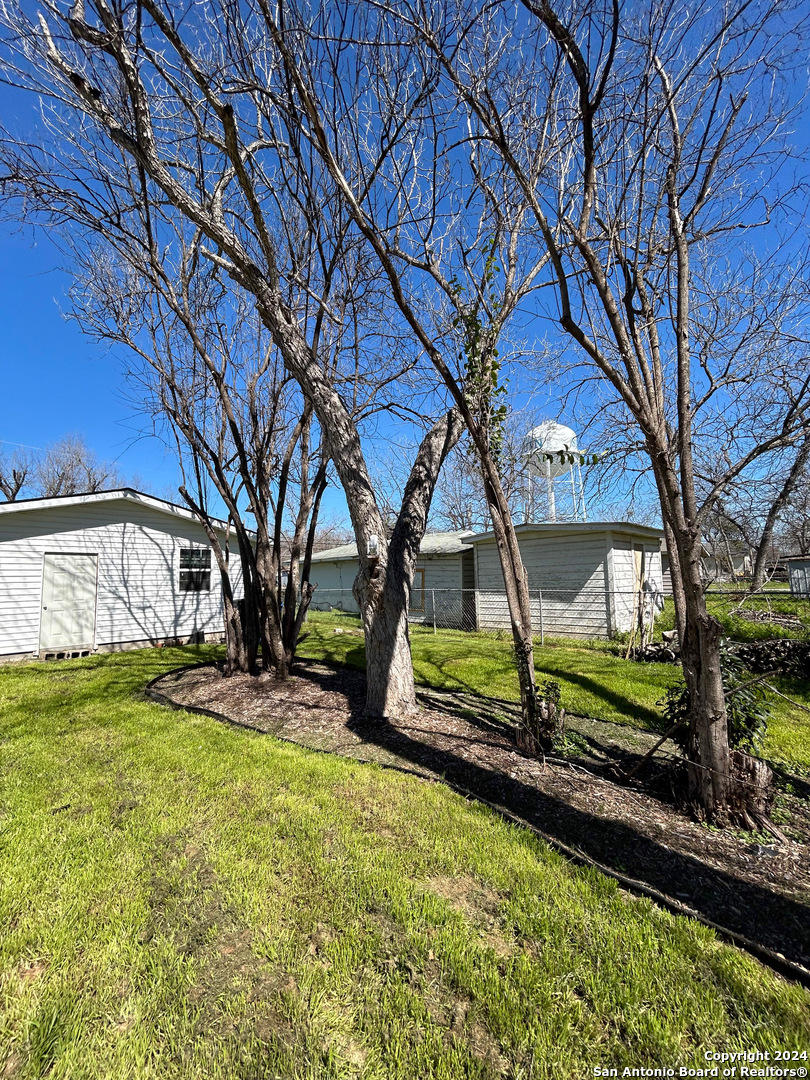613 East Ireland Street Seguin, TX 78155 - Photo 41 of 42 a backyard of a house with lots of green space