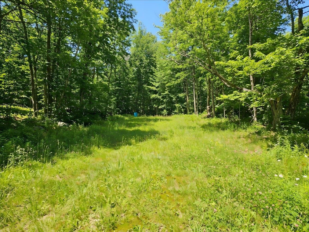 0 Dunton Road Highgate Center, VT 05459 - Photo 7 of 20