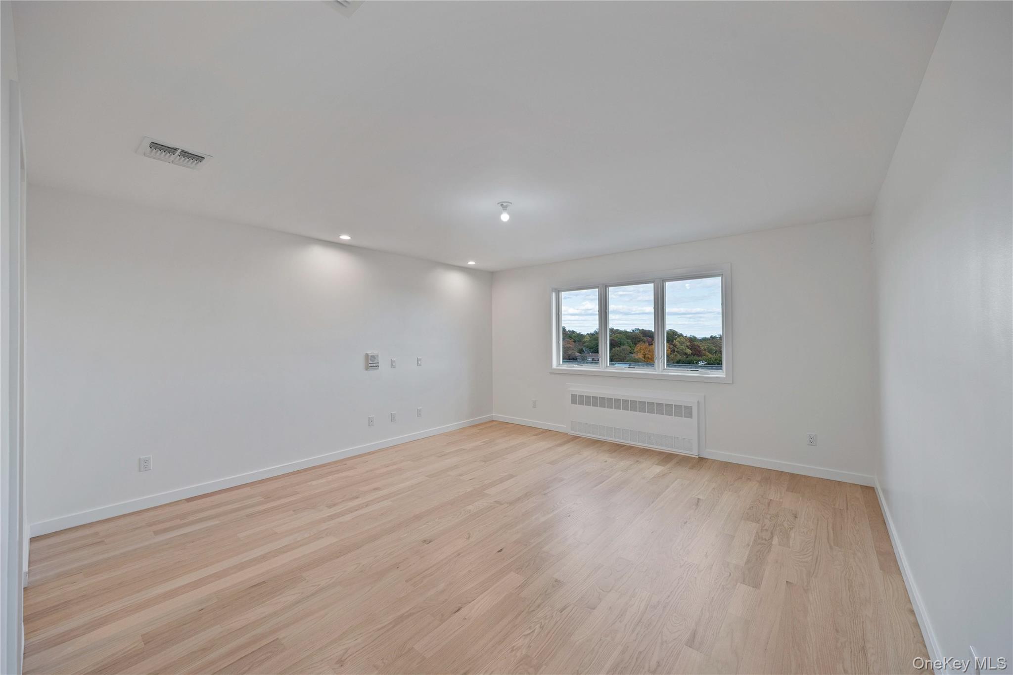 352 Blauvelt Road, Unit 202 Monsey, NY 10952 - Photo 17 of 33 wooden floor in an empty room with a window