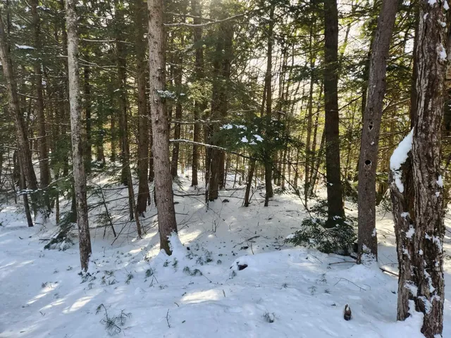 $19,900 | 40 Cedar Drive, Unit 130LOT 11, Gilmanton, NH 03237