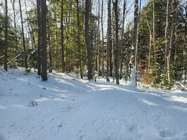 $19,900 | 40 Cedar Drive, Unit 130LOT 11, Gilmanton, NH 03237