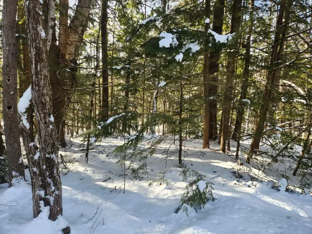 $19,900 | 40 Cedar Drive, Unit 130LOT 11, Gilmanton, NH 03237