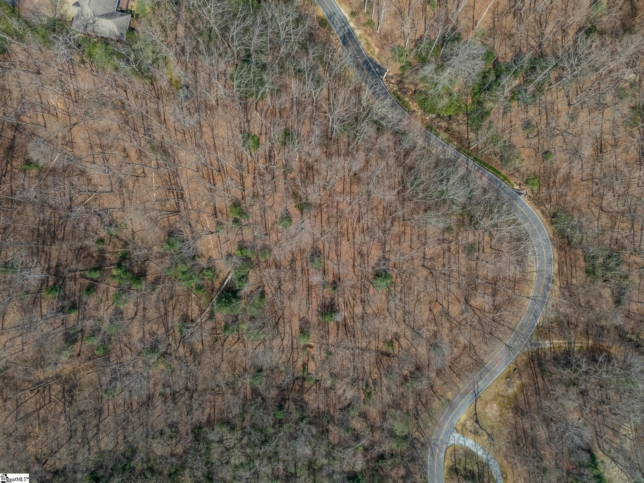 301 Limestone Trail Landrum, SC 29356 - Photo 4 of 8