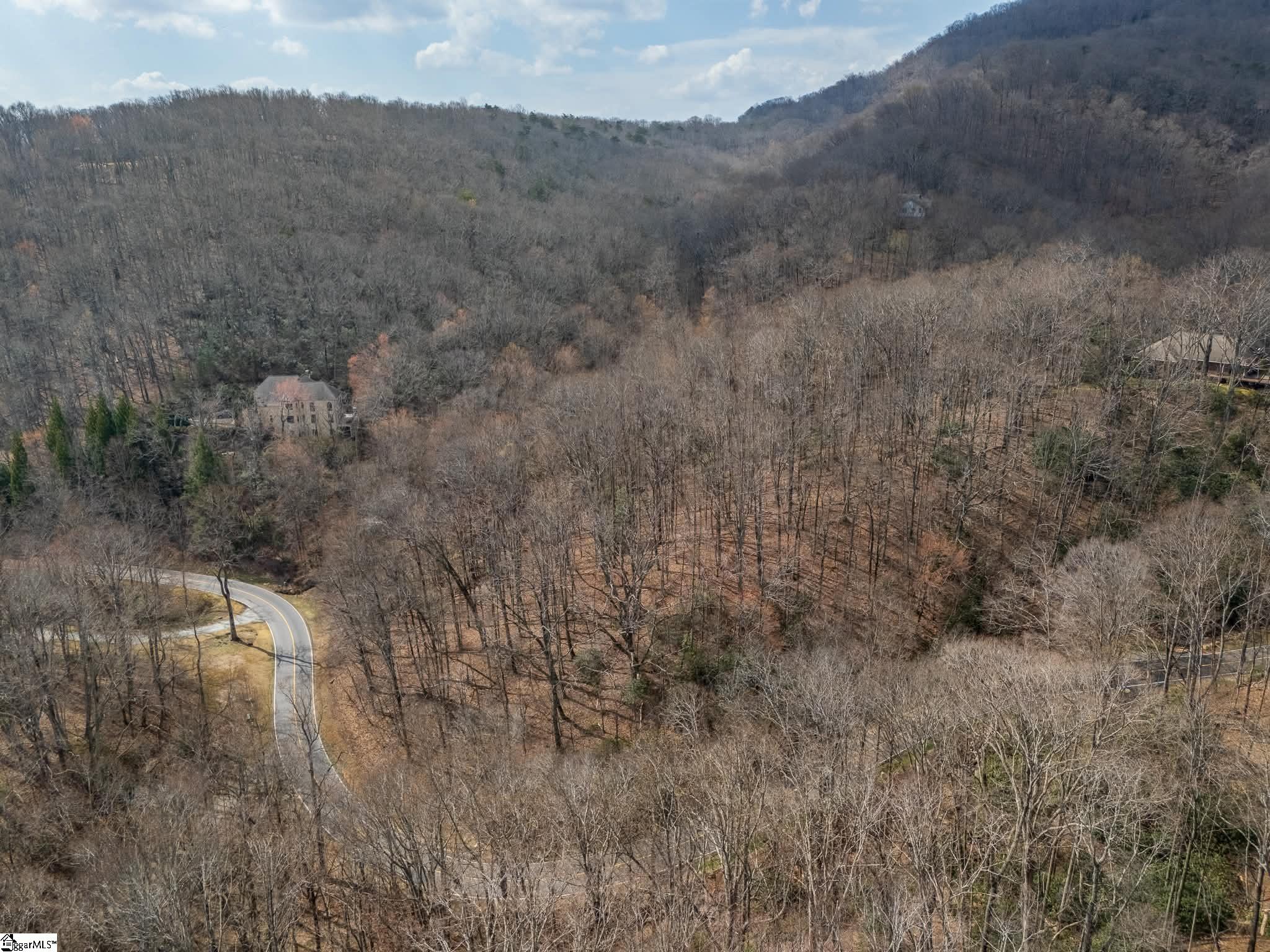 301 Limestone Trail Landrum, SC 29356 - Photo 6 of 8