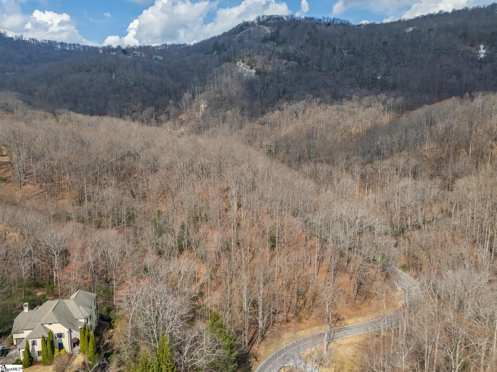 301 Limestone Trail Landrum, SC 29356 - Photo 6 of 8