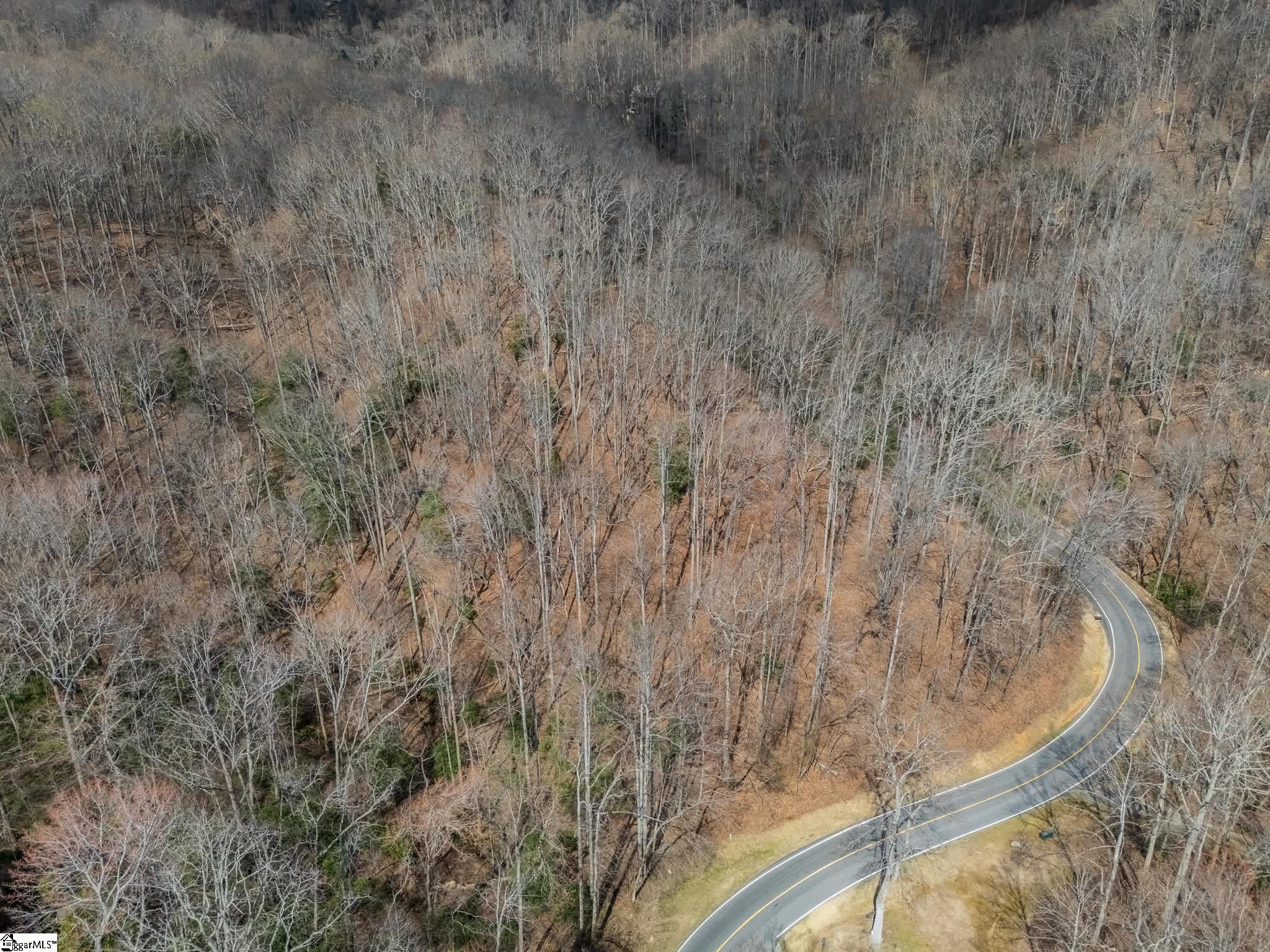 301 Limestone Trail Landrum, SC 29356 - Photo 7 of 8