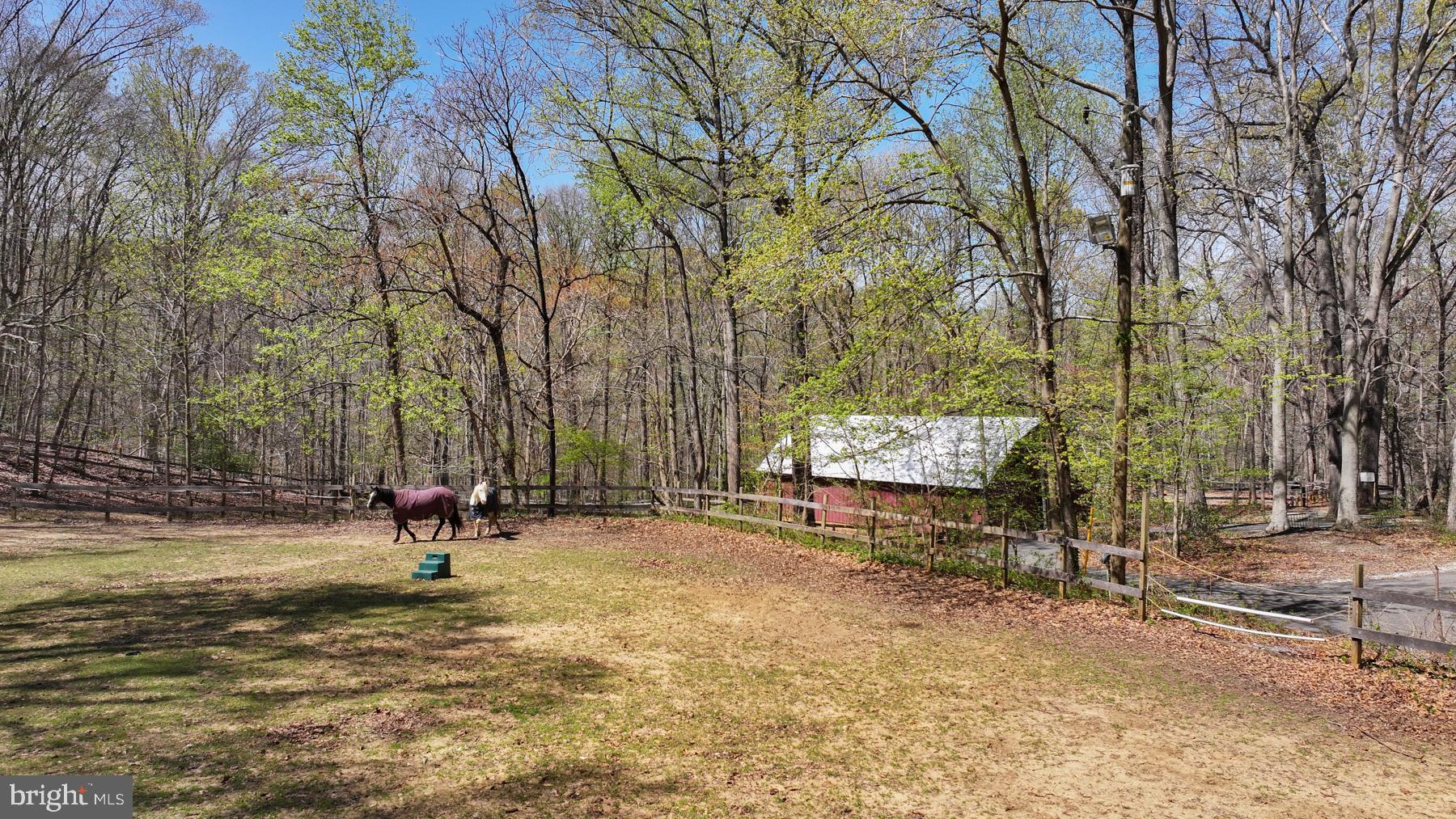 508 Epping Forest Road Annapolis, MD 21401 - Photo 69 of 93 Horse stables