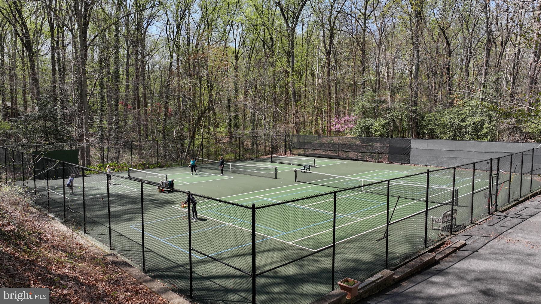 508 Epping Forest Road Annapolis, MD 21401 - Photo 86 of 93 Tennis/Pickelball