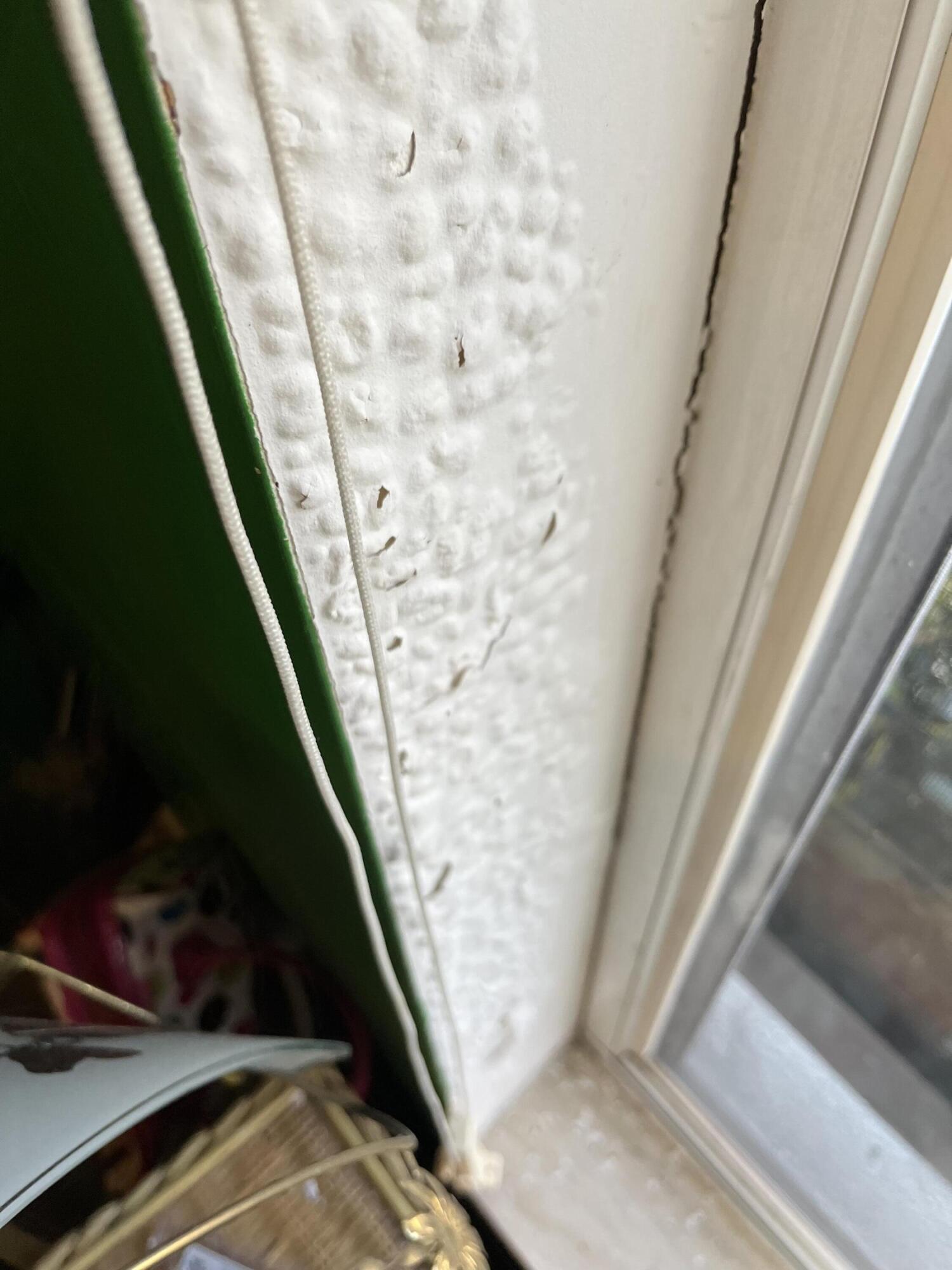 206 South Hampton Drive Jupiter, FL 33458 - Photo 15 of 24 a view of balcony