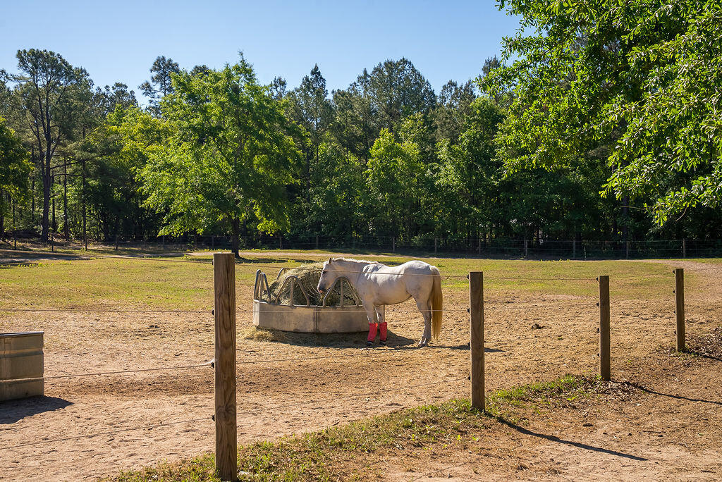 177 Muddy Branch Road Aiken, SC 29805 - Photo 25 of 34