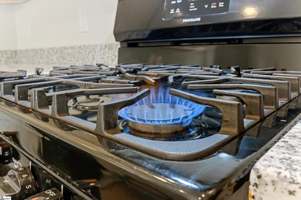 $2,100 | 2319 Davenport Court, Moore, SC 29369