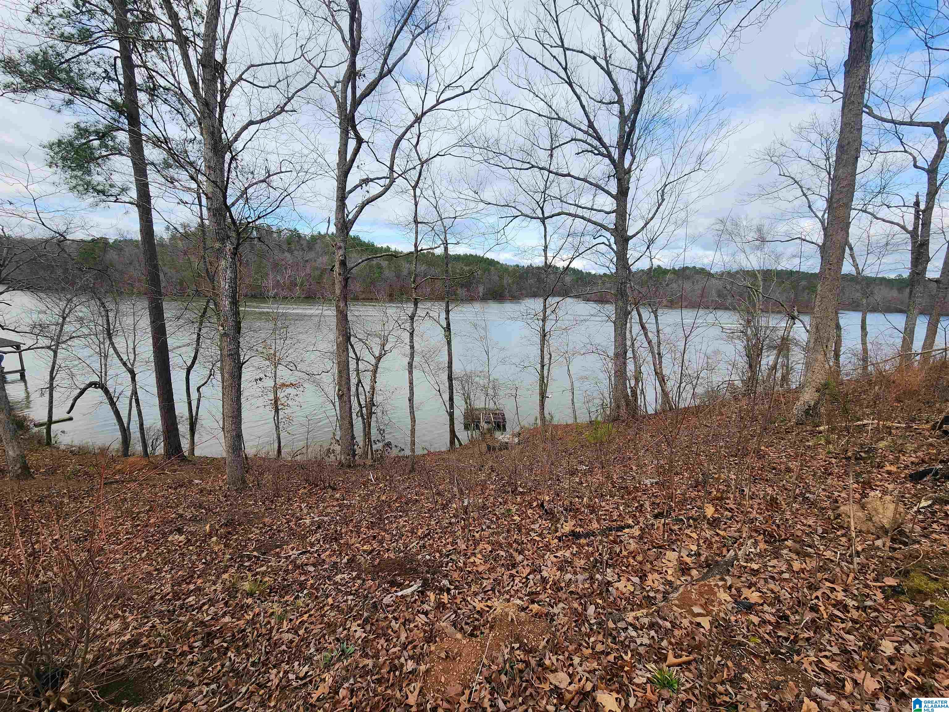 Lot 8 Eagle Mountain Road, Unit 8 Alexander City, AL 35010 - Photo 7 of 27