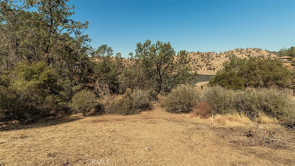 27767 Sky Harbour Road Friant, CA 93626 - Photo 8 of 9
