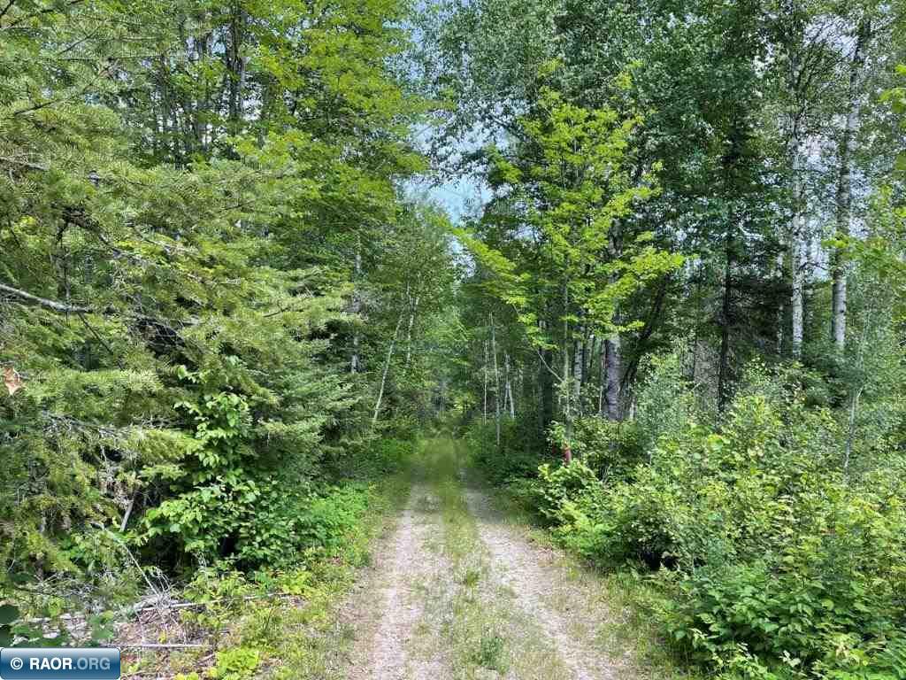 Xxx Old Cemetery Road Tower, MN 55790 - Photo 3 of 16