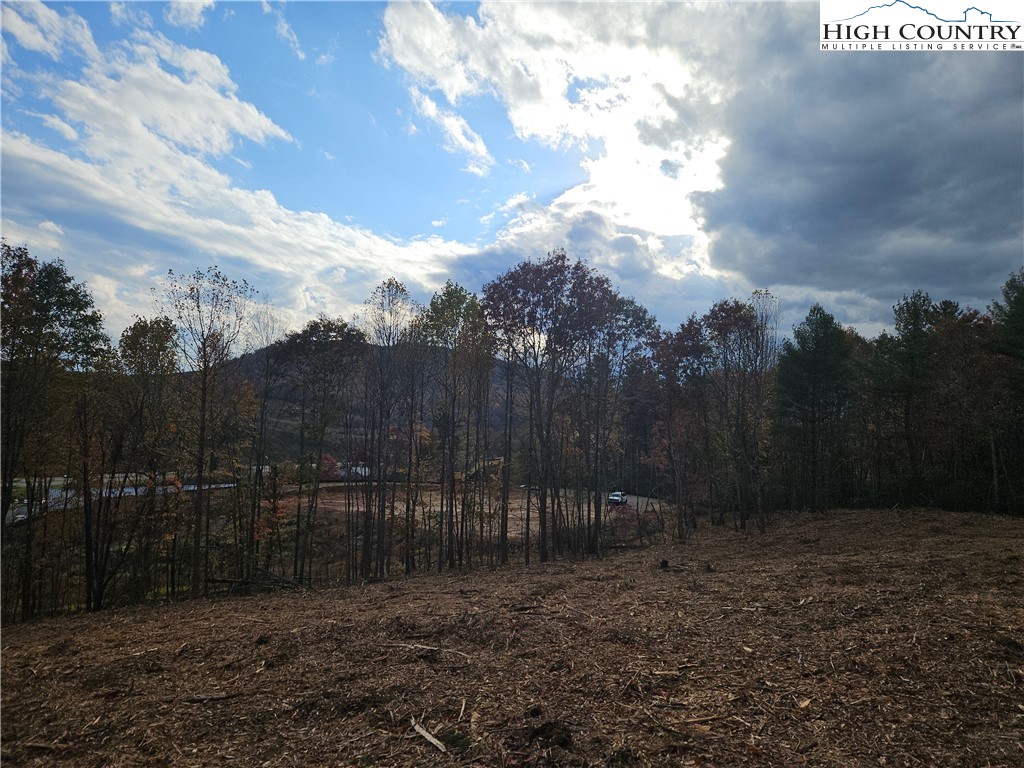Lot 2 Whispering Pines Road Boone, NC 28607 - Photo 11 of 16