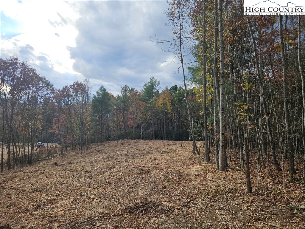 Lot 2 Whispering Pines Road Boone, NC 28607 - Photo 13 of 16