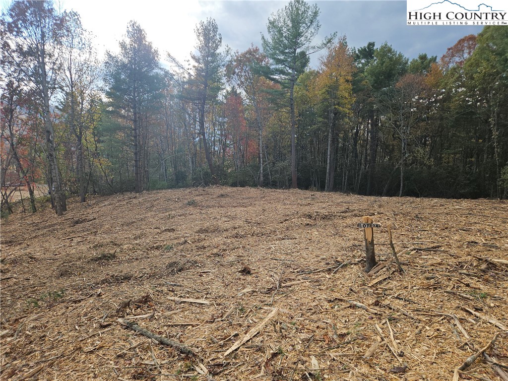 Lot 2 Whispering Pines Road Boone, NC 28607 - Photo 14 of 16