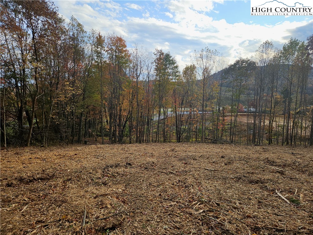 Lot 2 Whispering Pines Road Boone, NC 28607 - Photo 15 of 16