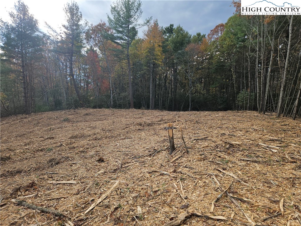 Lot 2 Whispering Pines Road Boone, NC 28607 - Photo 16 of 16