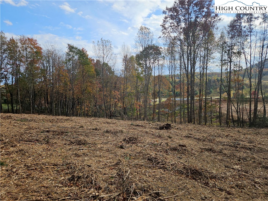 Lot 2 Whispering Pines Road Boone, NC 28607 - Photo 2 of 16