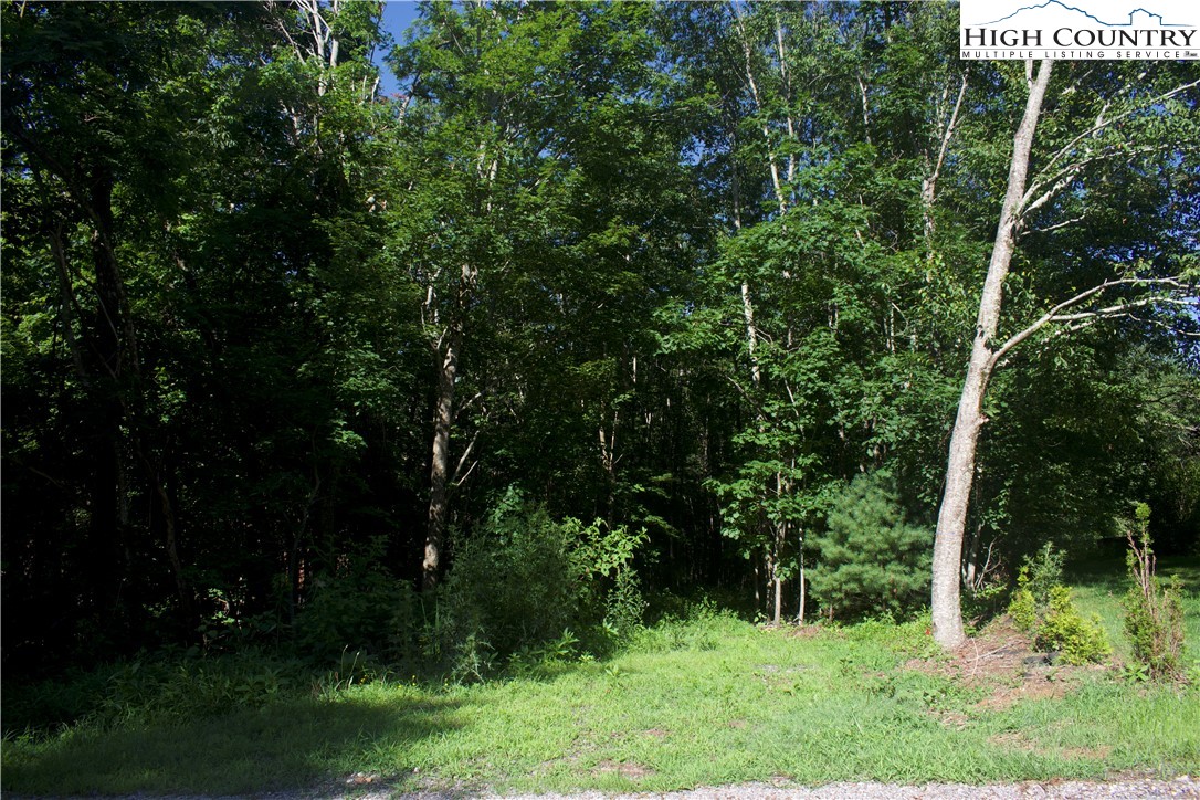 Lot 2 Whispering Pines Road Boone, NC 28607 - Photo 3 of 16