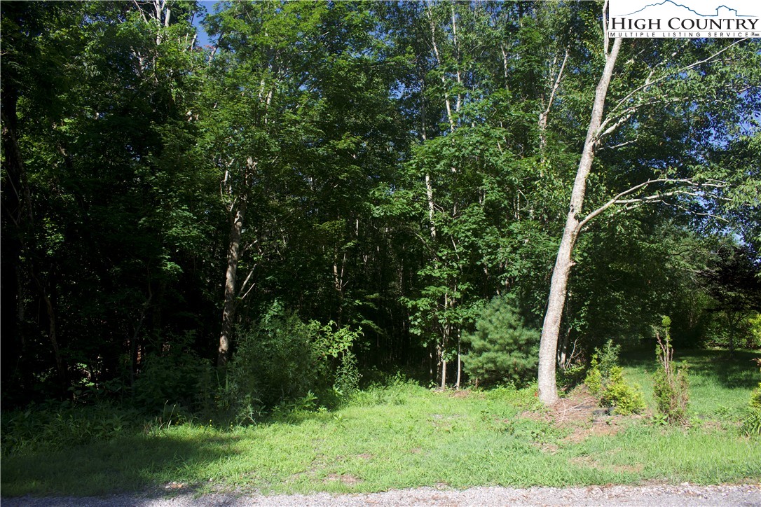 Lot 2 Whispering Pines Road Boone, NC 28607 - Photo 5 of 16
