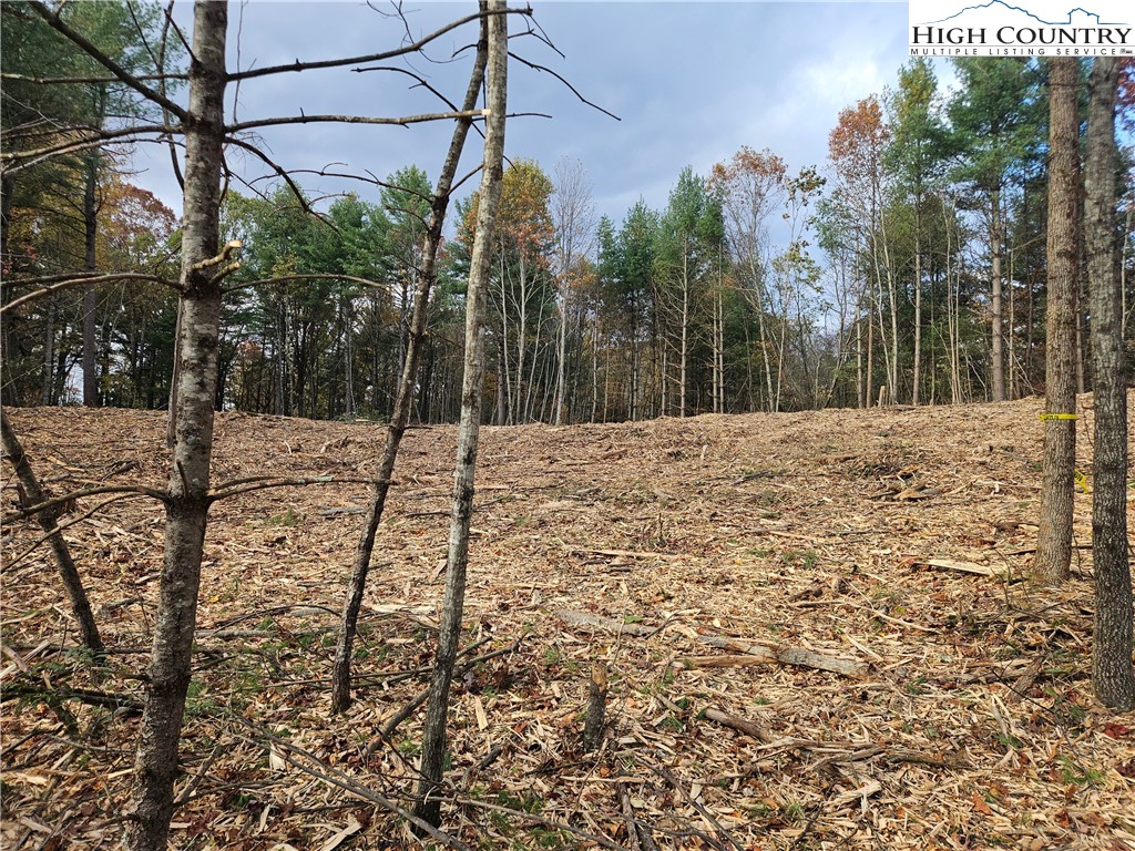 Lot 2 Whispering Pines Road Boone, NC 28607 - Photo 10 of 16