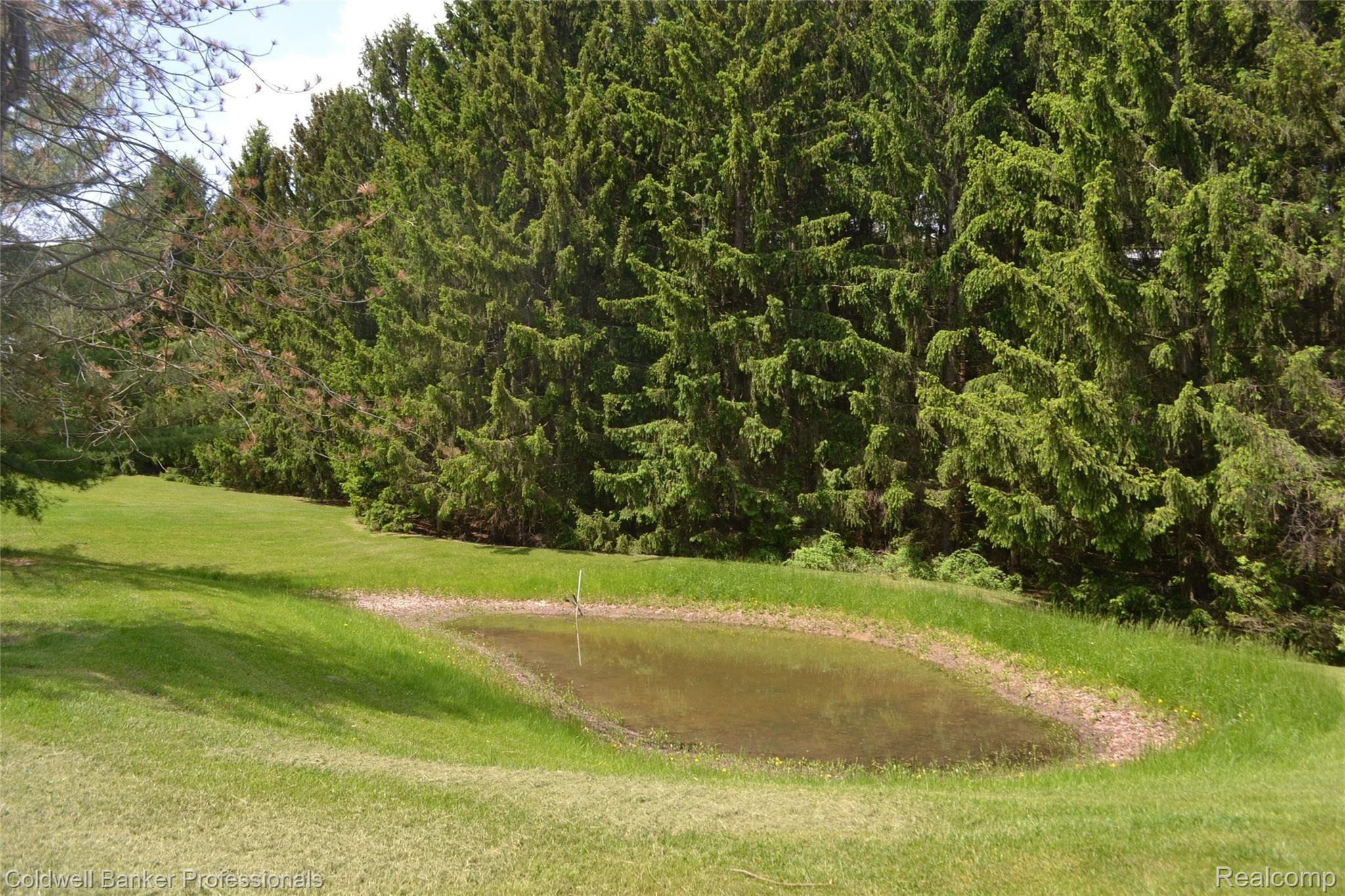 1217 Lake Nepessing Road Lapeer, MI 48446 - Photo 32 of 40 DSC_0073.JPG