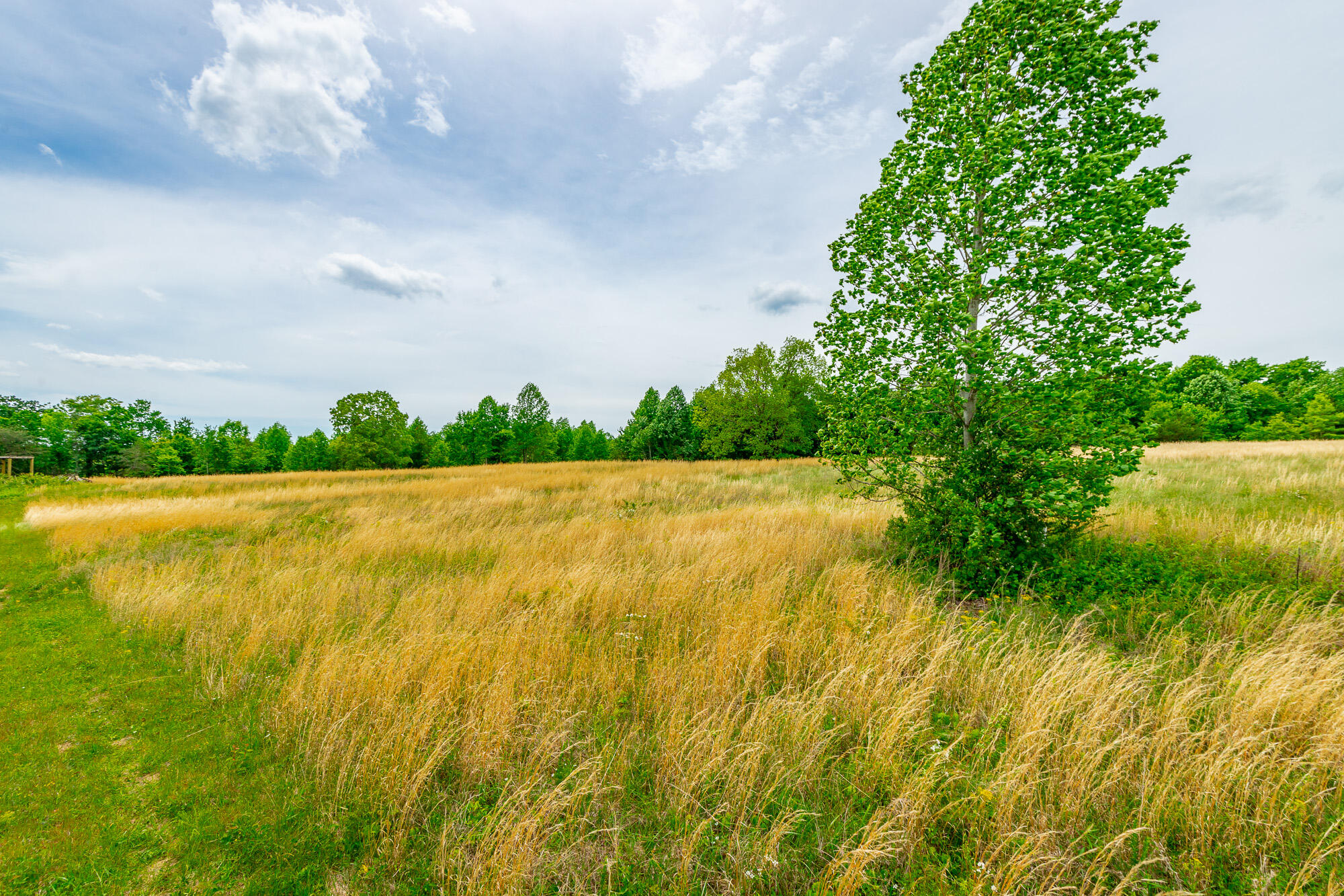 0 Ray Gadd Road Graysville, TN 37338 - Photo 44 of 109 Ray Gadd Road Lot HD-36