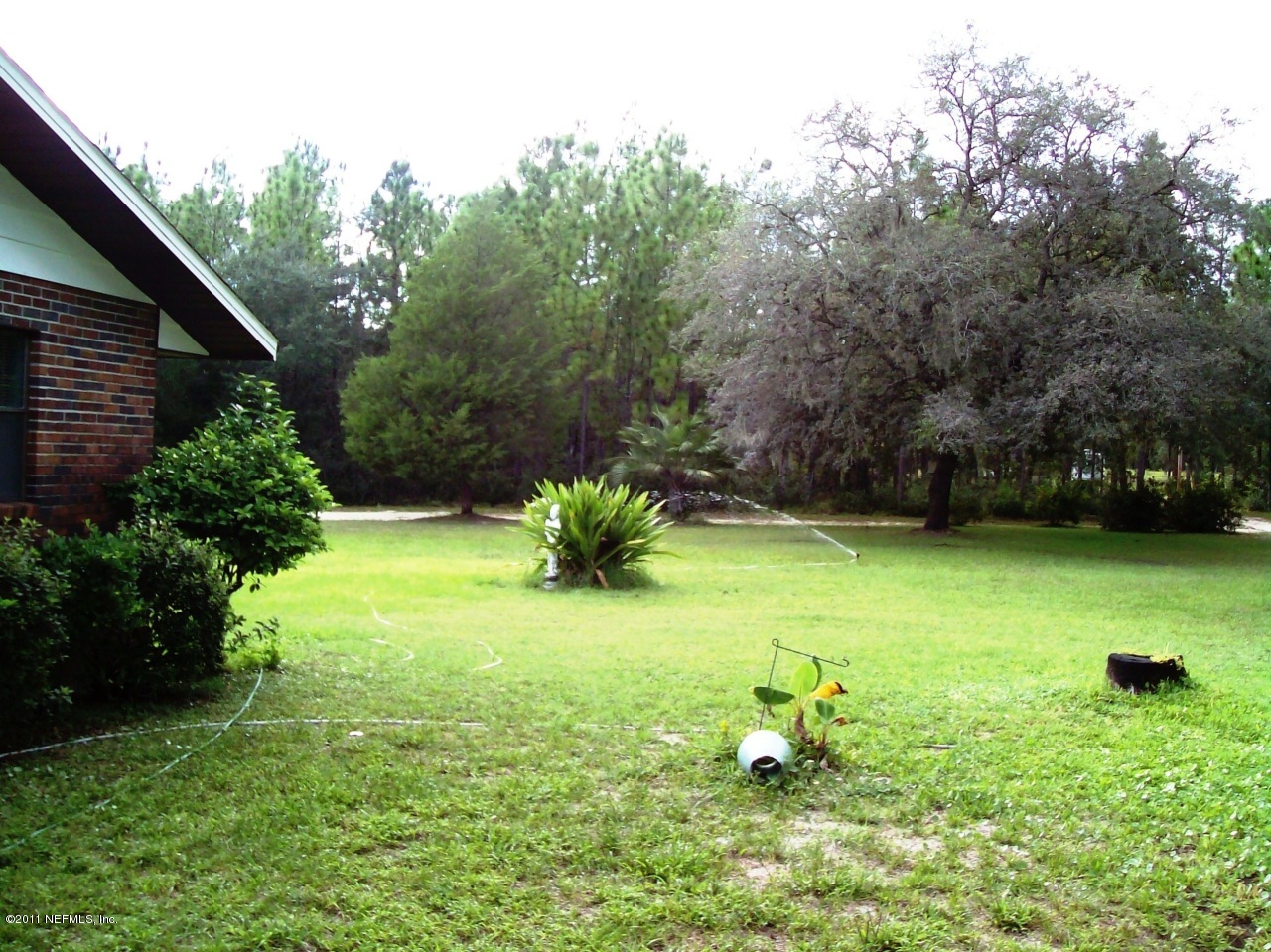 7715 Ranchette Road Keystone Heights, FL 32656 - Photo 3 of 32 a backyard of a house with lots of green space