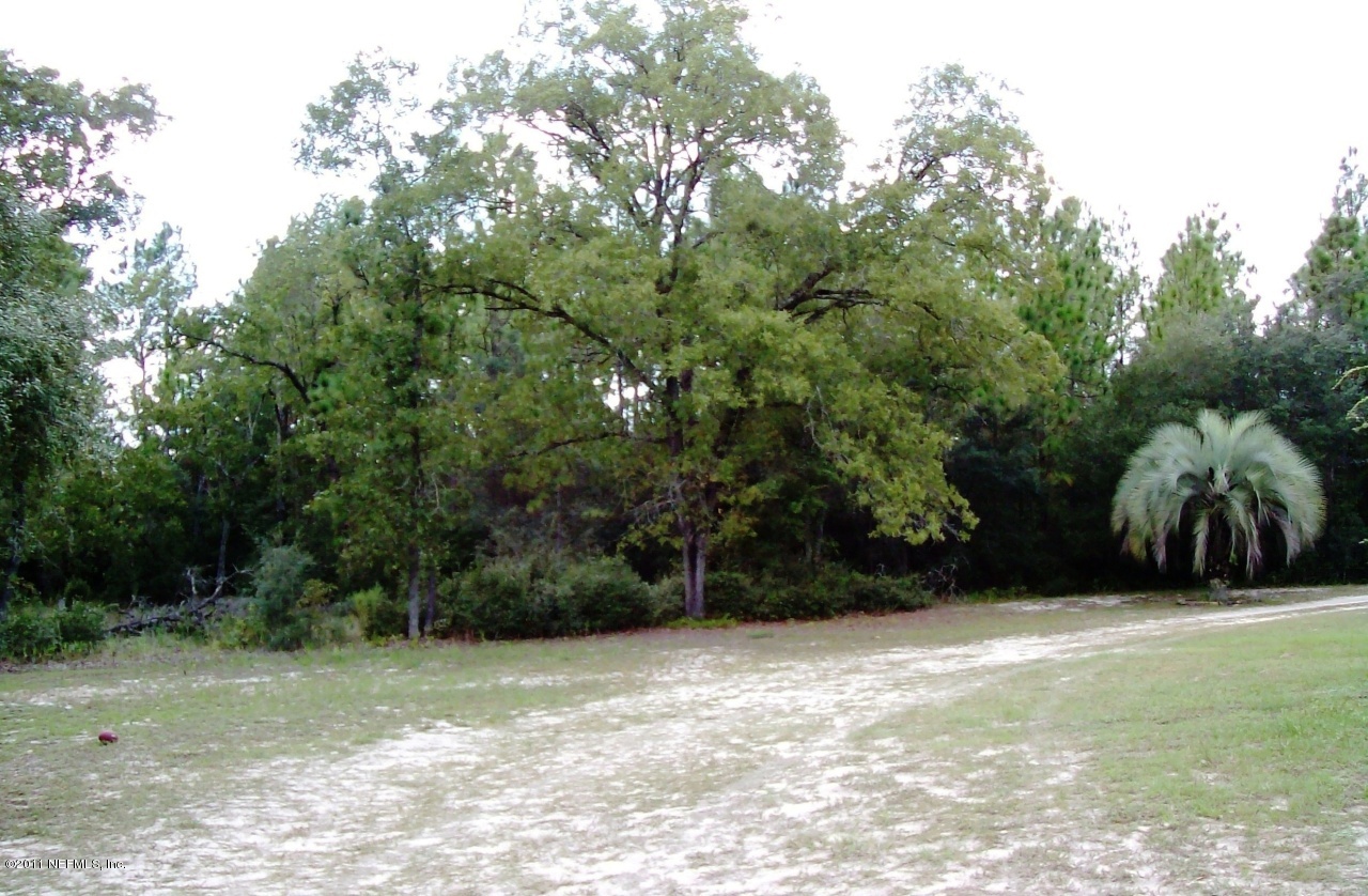 7715 Ranchette Road Keystone Heights, FL 32656 - Photo 7 of 32 a view of outdoor space and yard