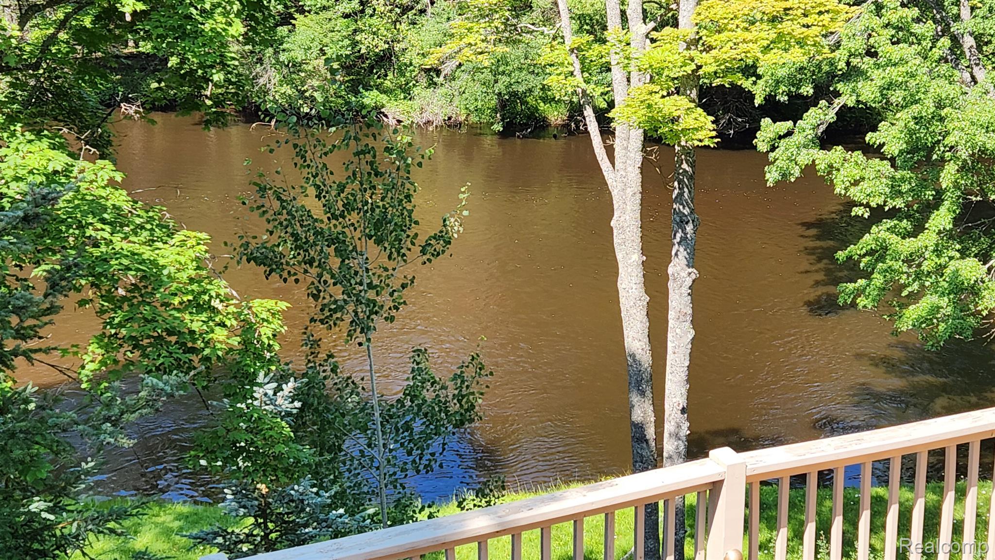 8734 South County Line Road Onaway, MI 49765 - Photo 6 of 56 Backyard view of Black River