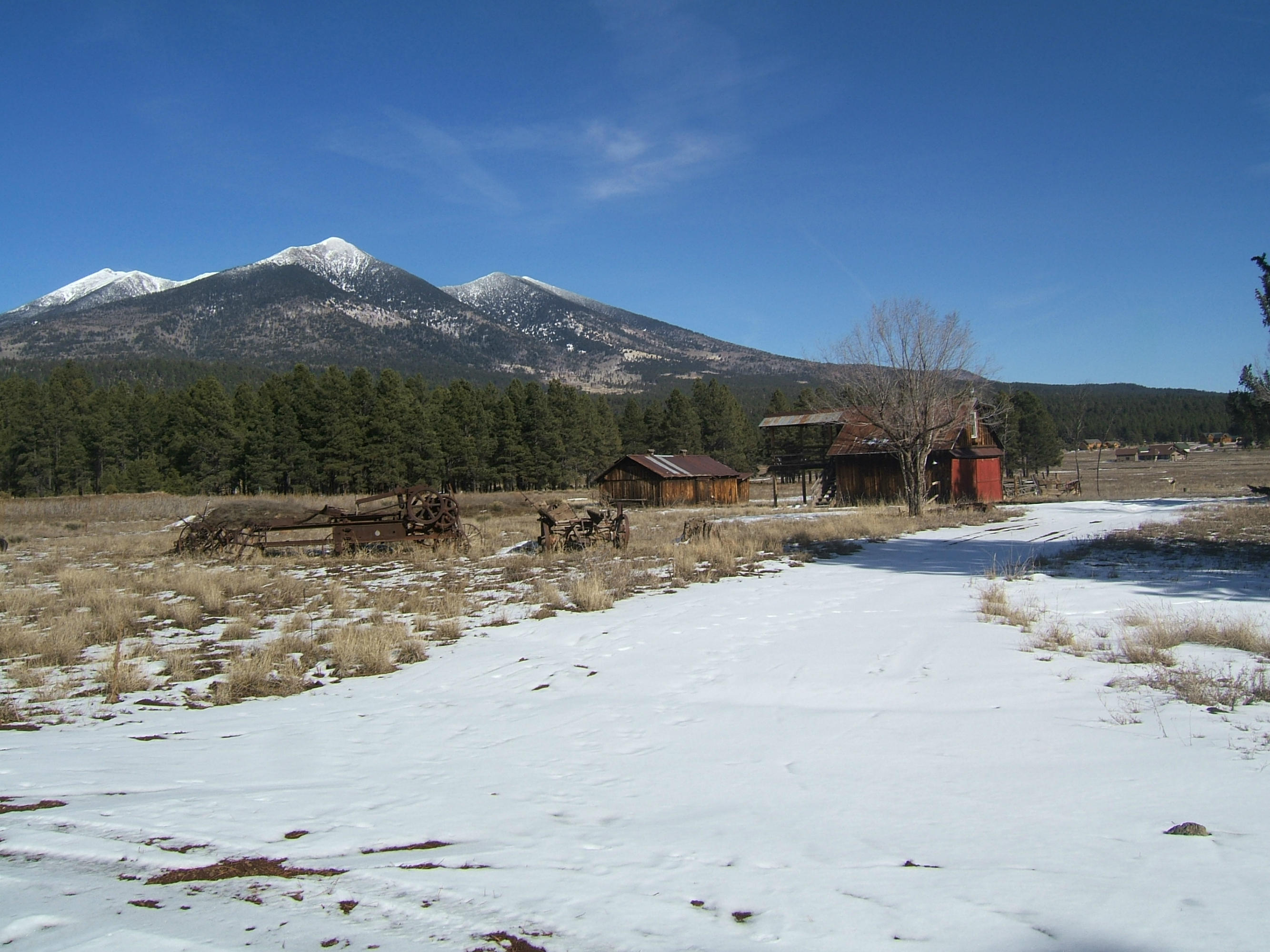 9150 North Roundtree Road Flagstaff, AZ 86001 - Photo 3 of 35 Roundtree property 002